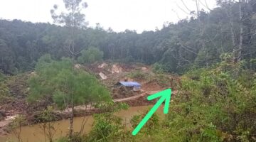 Heboh WNA China Gasak Tambang Emas ilegal di Nabire