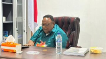 Berkedok visa Turis, Faktanya Gasak sumber Alam Papua, wakil ketua IV DPR Papua Tengah angkat bicara