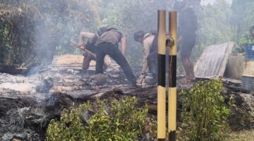 Ini Tanggapan PT Kristalin Ekalsetari Atas Insiden Penyerangan dan Pembakaran OTK di Pos Palang I